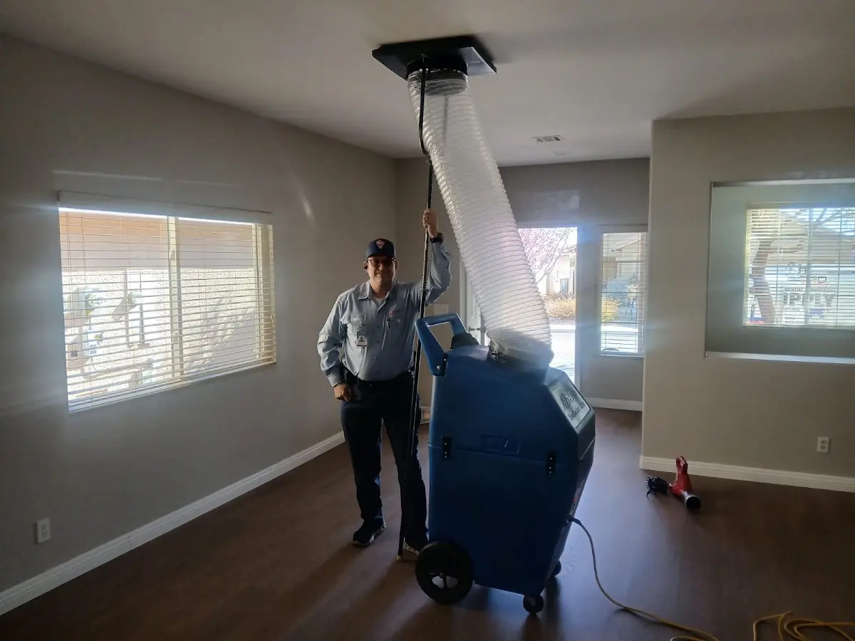 Professional Dryer Vent Cleaning work inside a Wheeling home